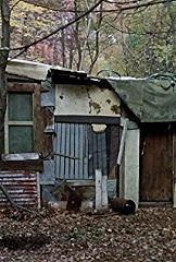 Фото актера Джек Маркс