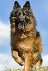 Фото актера Kaiser