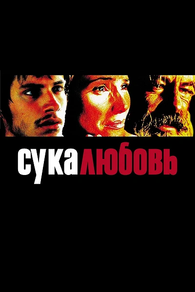 фон