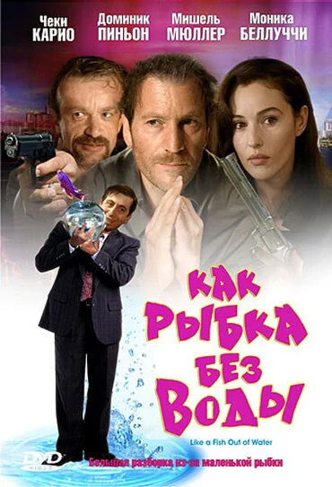 фон