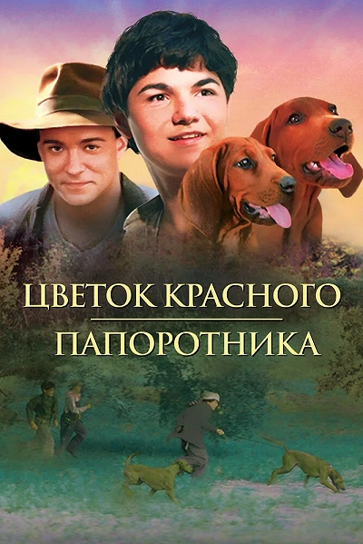 фон