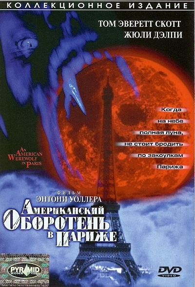 фон