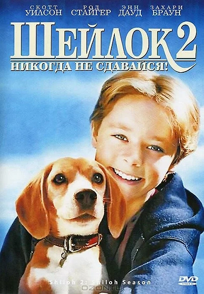 фон