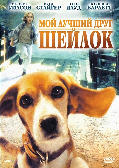 фон