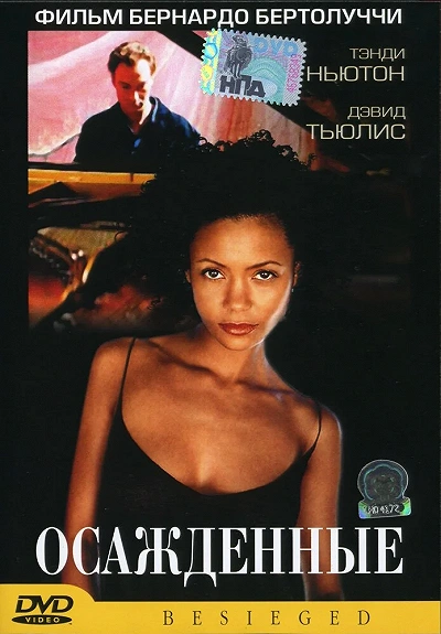 фон