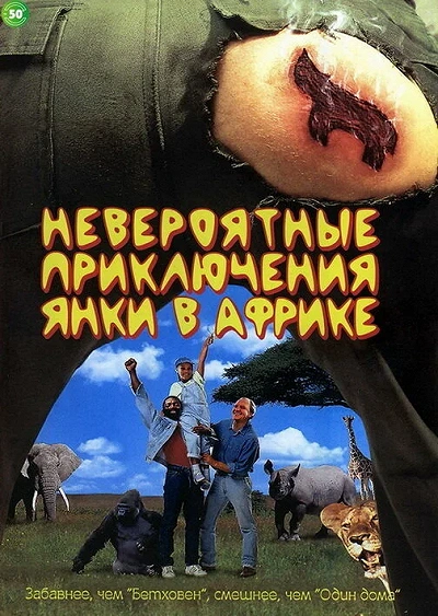 фон
