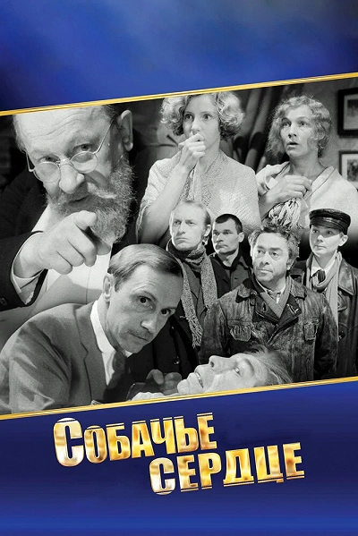 фон
