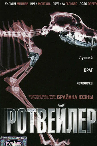 фон