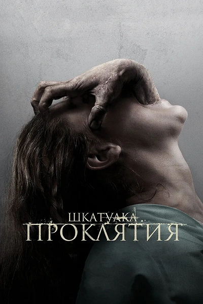 фон
