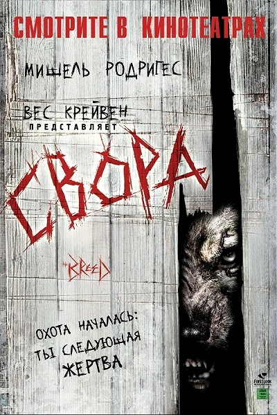 фон