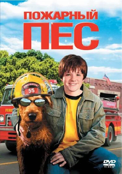 фон