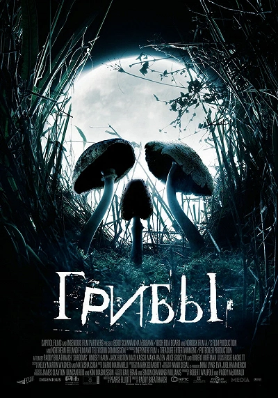 фон