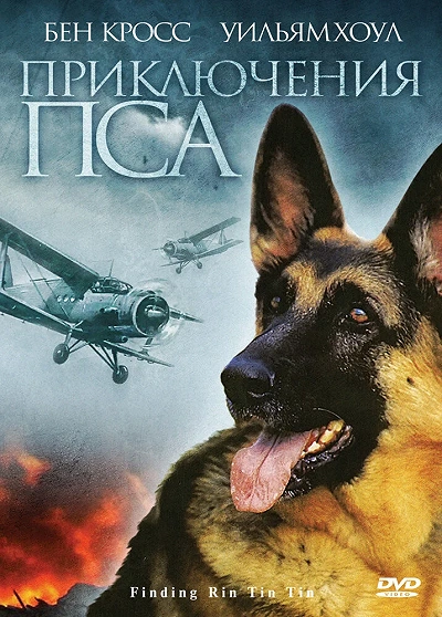 фон
