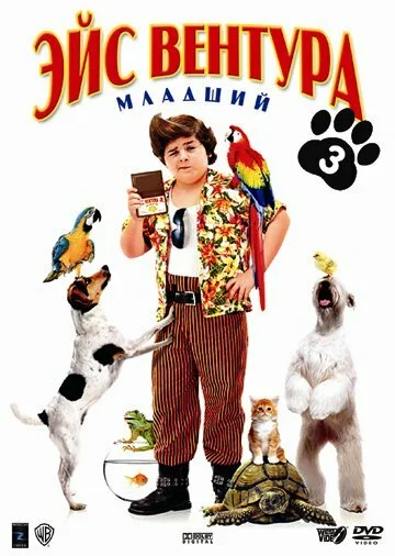 фон