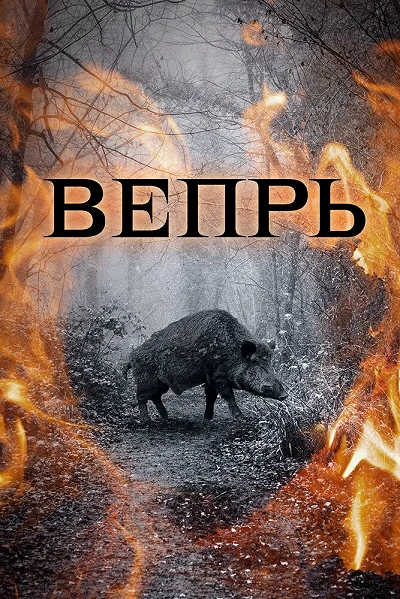 фон