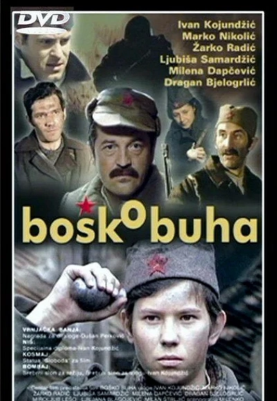 фон