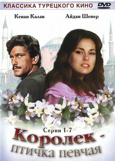 фон