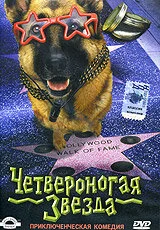 фон