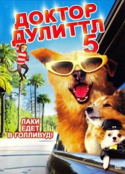 фон