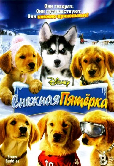 фон
