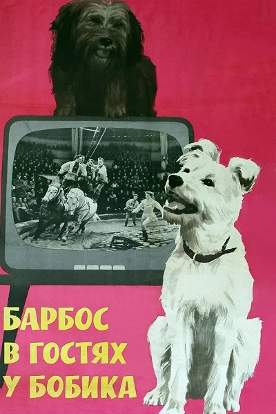 фон