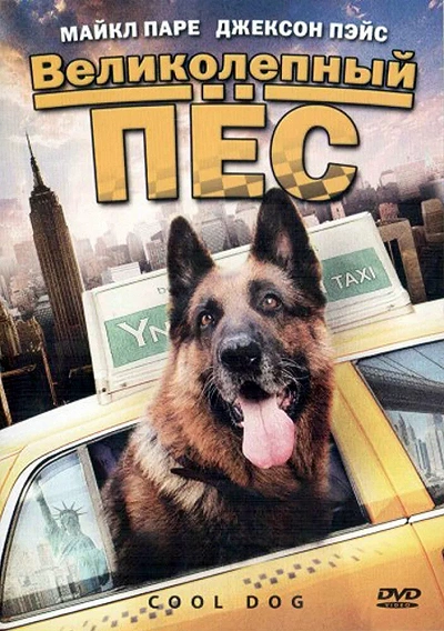 фон