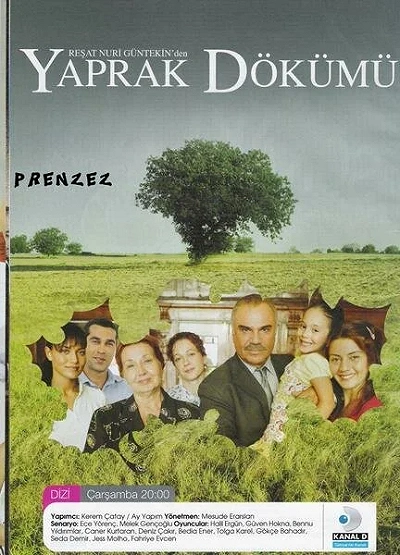фон