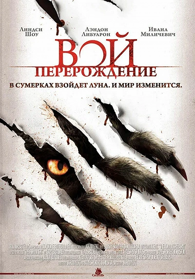 фон