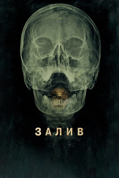 фон