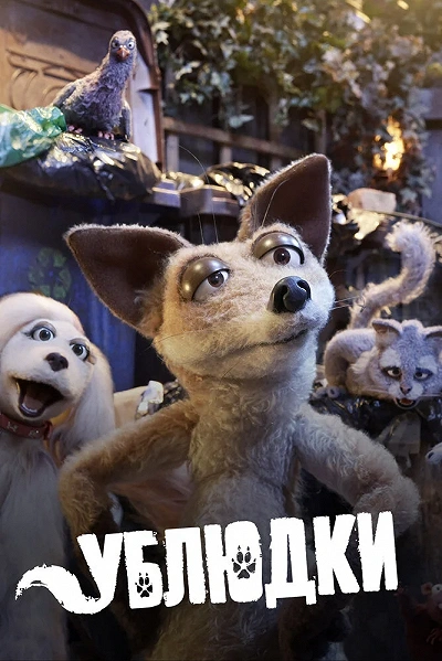фон