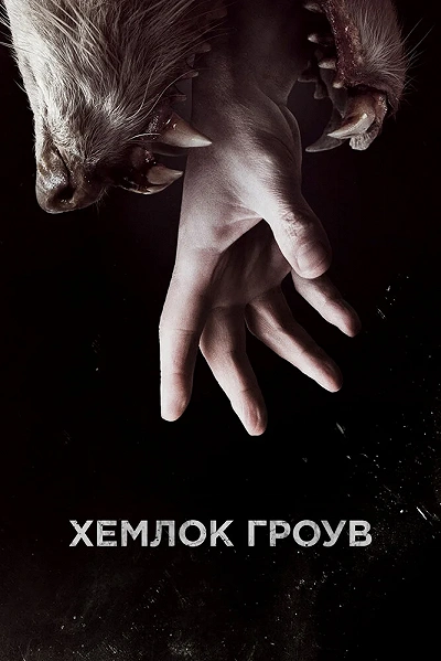 фон