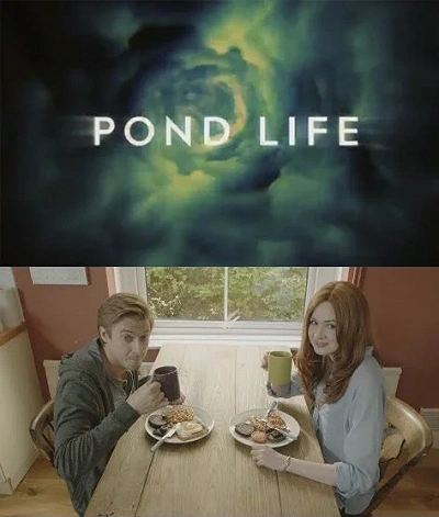 фон