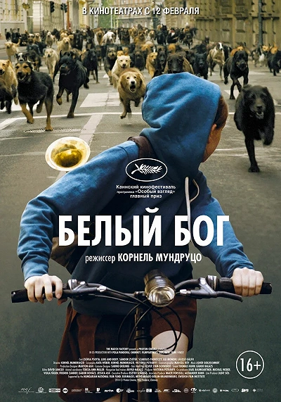 фон