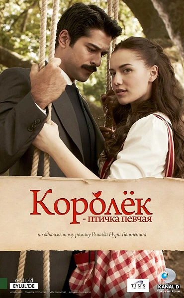 фон