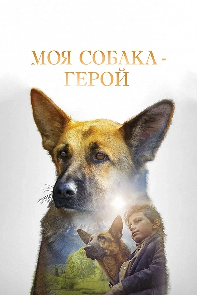 фон