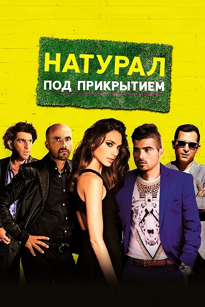 фон