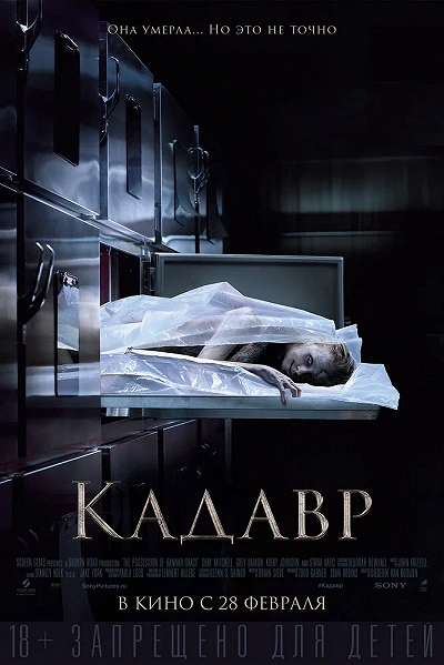 фон