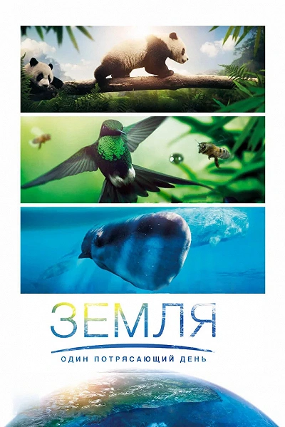 фон
