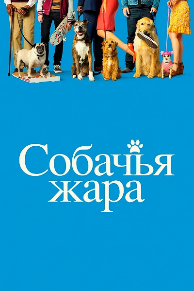 фон