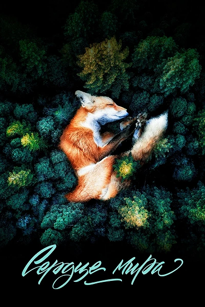 фон