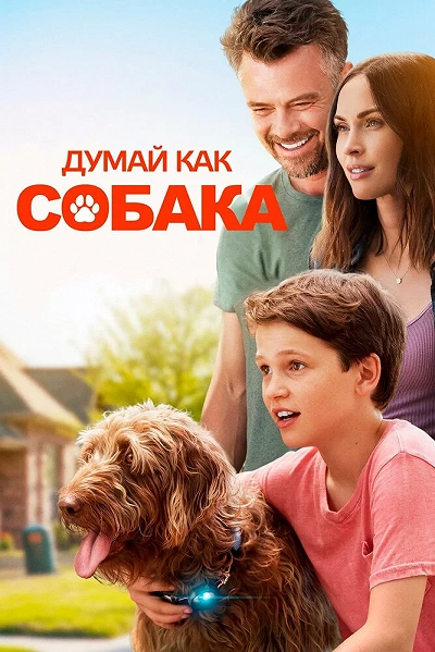 фон