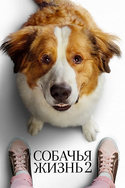 фон