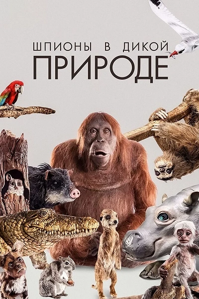 фон