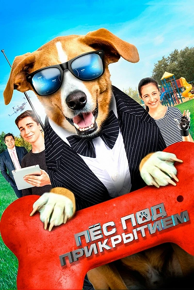 фон