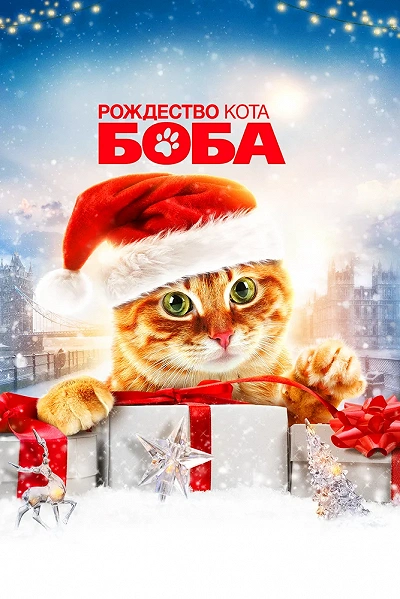 фон