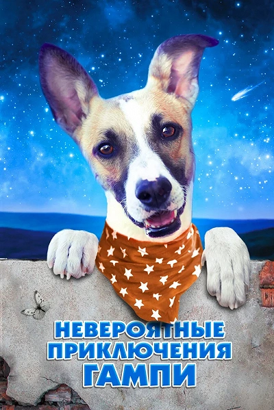 фон