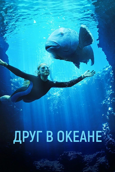 фон