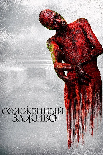фон
