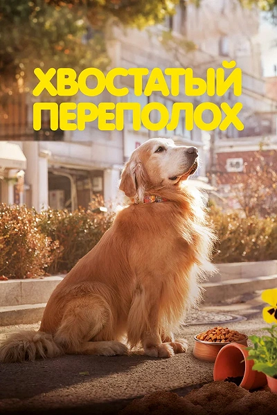 фон