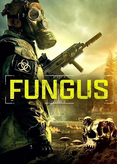 фон